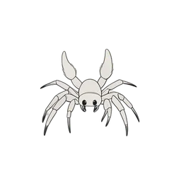 tarantula