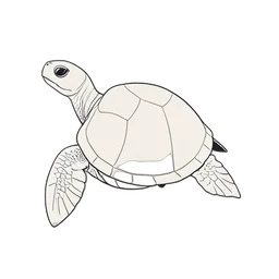 Черепаха