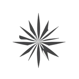 Abstract Burst icon preview