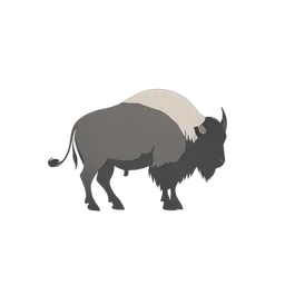 กระทิงป่า