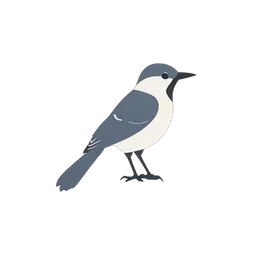 Blue Jay icon preview
