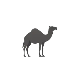 Cammello icon preview