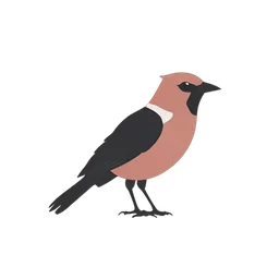 นกคาร์ดินัล icon preview