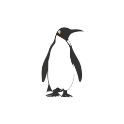 Emperor Penguin