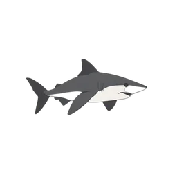 çekiç başlı köpekbalığı