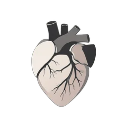 Heart Internal