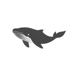Humpback Whale