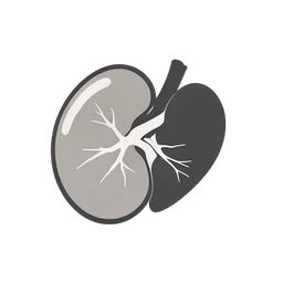 Kidney icon preview