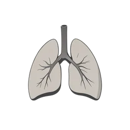 ปอดภายใน