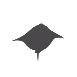 Manta-Rays