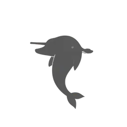 Narwhal