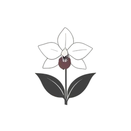 Orchid