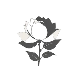 牡丹