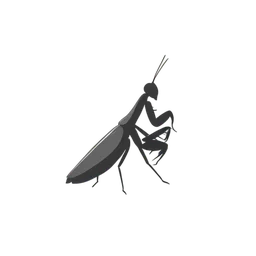 mantis modlitewna