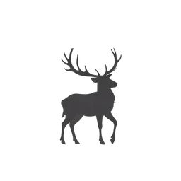 Reindeer