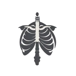 Ribcage