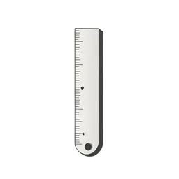 Ruler