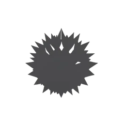 เม่นทะเล