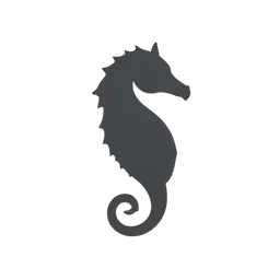 Seahorse