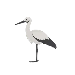 Stork