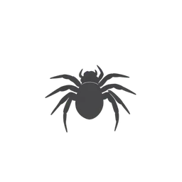 tarantula