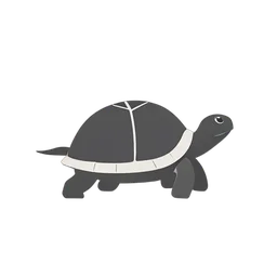 乌龟