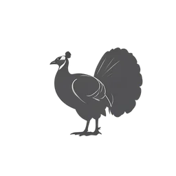 Tacchino icon preview