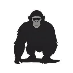 Chimpanzee