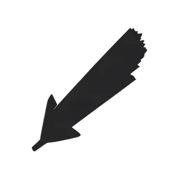 Crooked Arrow