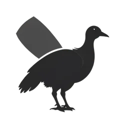 Pavo dardo