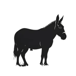 Farm Donkey