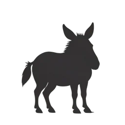 Donkey