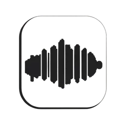 Audio File