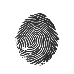 Fingerprint icon preview