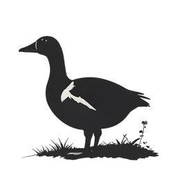 Canard de ferme