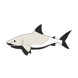 большая белая акула