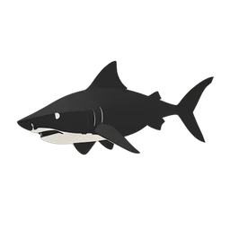 Hammerhead Shark