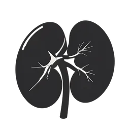 Kidney