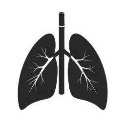 رئتان داخليتان