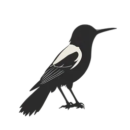 عصفور الليل