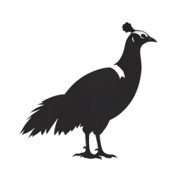 Pheasant icon preview