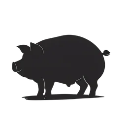 Pig