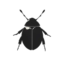 딱정벌레