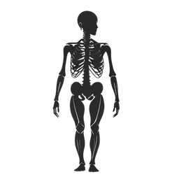 Skeleton icon preview