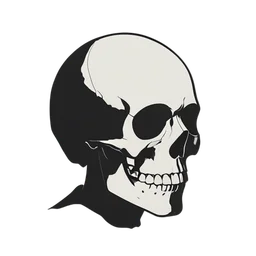 Schedel icon preview