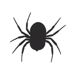 عنكبوت
