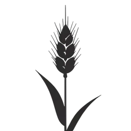 Buğday icon preview