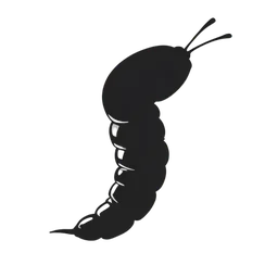 ديدان