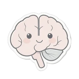 Brain Organ