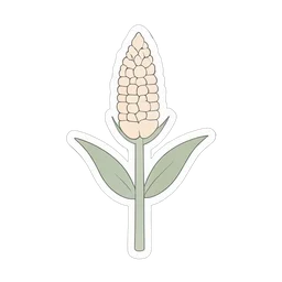 Corn Stalk
